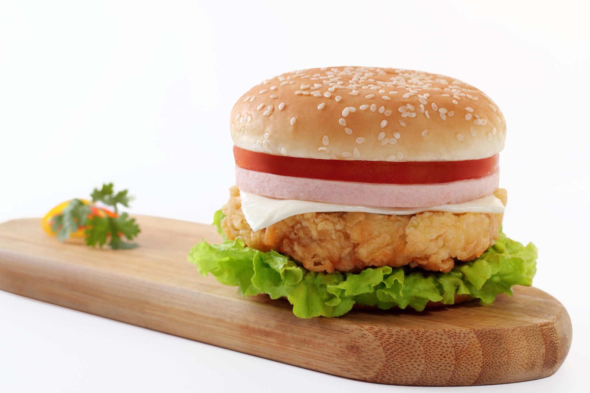 burger-827308_1920